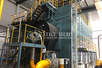 gas fired steam boiler in chemical industry