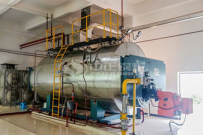 wns condensing steam boiler