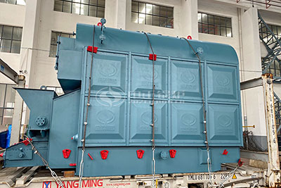 DZL series 6 tph coal boiler