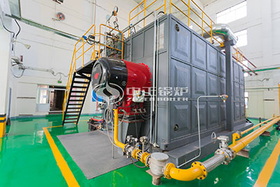 SZS gas steam boiler for chemical industry
