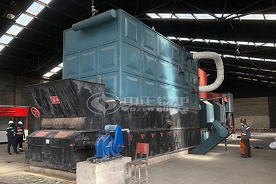 coal fired thermal oil boiler