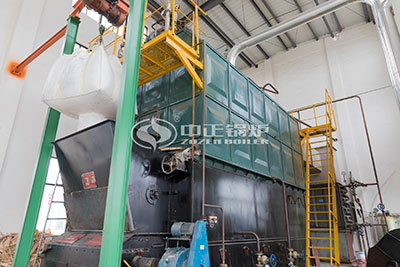 Indonesia Food Factory 10 Tons Biomass Steam Boiler