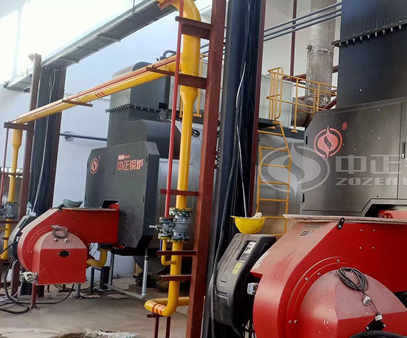 10 ton gas steam boiler