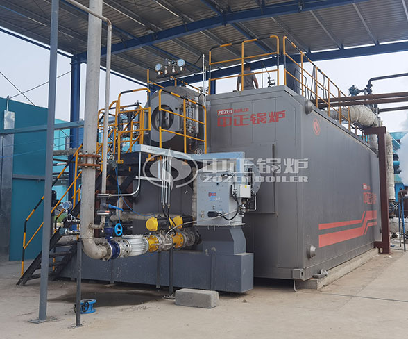 15 tph biogas steam boiler