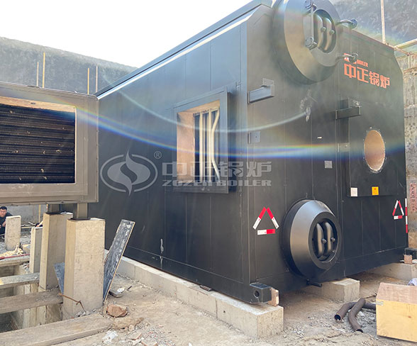 20 ton gas boiler for food plant