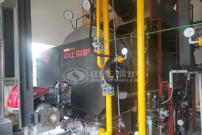 Condensing Gas 3 Ton Steam Boiler for Chemical Industry