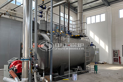 6 ton gas boiler for paper mill