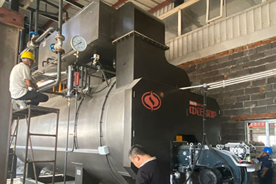 8 ton fire tube gas steam boiler in Cement plant