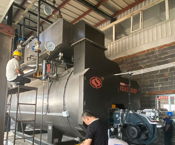 chemical used 10 ton gas boiler