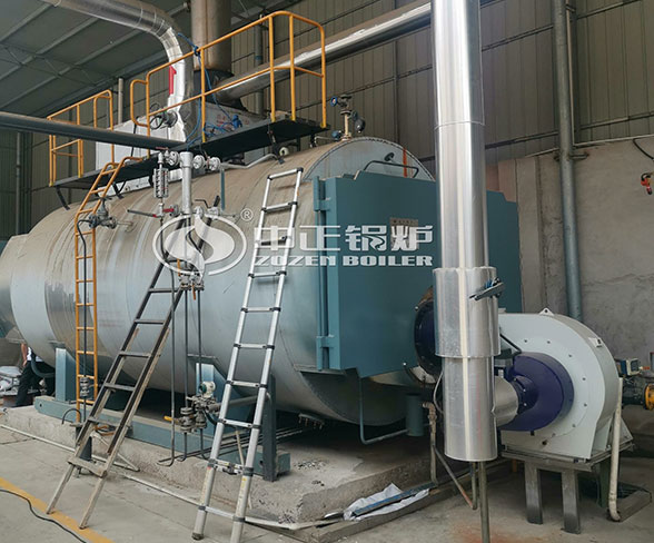 gas steam boiler for food plant