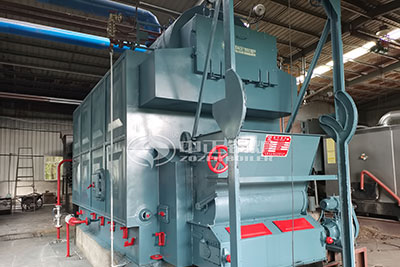 DZL 4 Ton Coal Fired Steam Boiler Exported to Zimbabwe