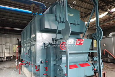 4 ton biomass coal fired steam boiler