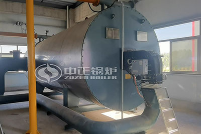 Paper Industry 4 Million Kcal Gas Fired Thermal Oil Heater