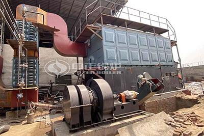 Indonesia 10 Ton Biomass Pellet Steam Boiler