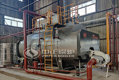 10 Ton/h Condensing Boiler for Pharmaceutical Industry