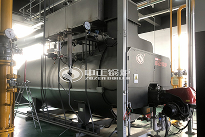 WNS gas fired steam boiler