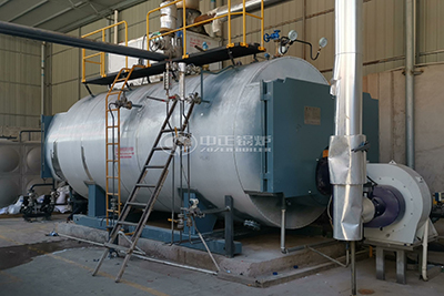 Industrial Steam Boiler for Pharmaceutical Production Line