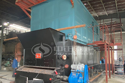 Coal Steam Boiler 10tons for Juice Production Line