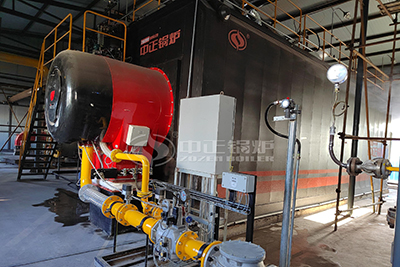20 Ton LPG Boiler Manufacturer in Chemical Industry