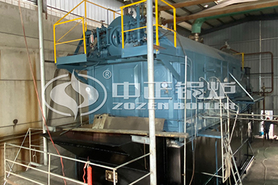 biomass fired steam boiler