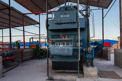 industrial biomass 4 ton steam boiler