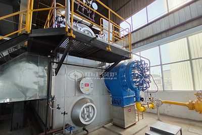 10tons Natural Gas Fired Boiler for Bangladesh