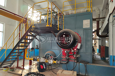 60 Ton Gas Fired Boiler for Vegetable Processing
