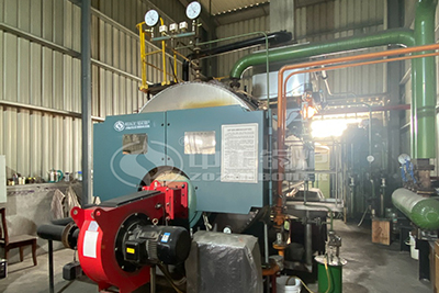 2 Ton Steam Boiler in Pakistan School