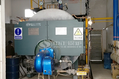 4tphour Steam Boiler in Chemical Plant