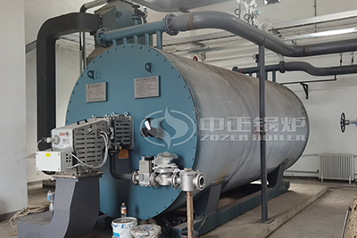 Oil Gas Fired Thermal Oil Heater Boiler