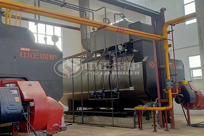 wns 5 ton steam boiler