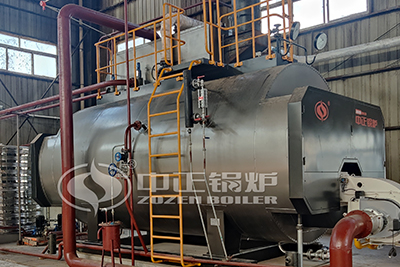 10 tph steam boiler