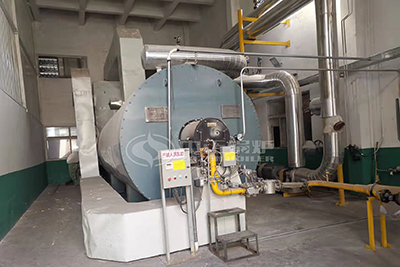 4 Million Kcal Gas Thermal Oil Boiler for PVC Film Production