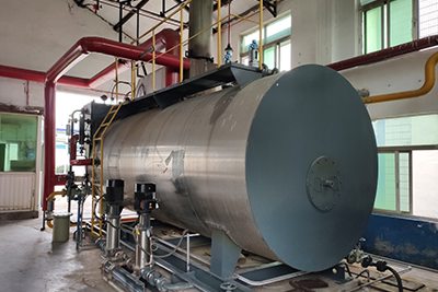 Philippine 8 Ton Gas Boiler in Fruit Processing Line