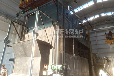 biomass boiler in Turkey