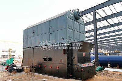 coal biomass fired boiler