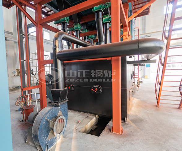 details of biomass fired boiler