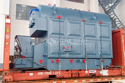 DZL Coal Fired Hot Water Boiler for Agricultural Products Processing