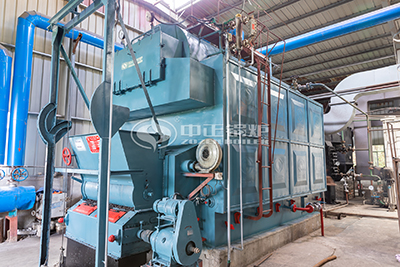 dzl series coal biomass fired boiler