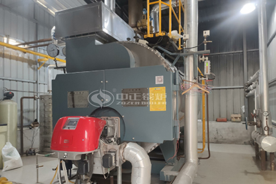 wns gas fired boiler