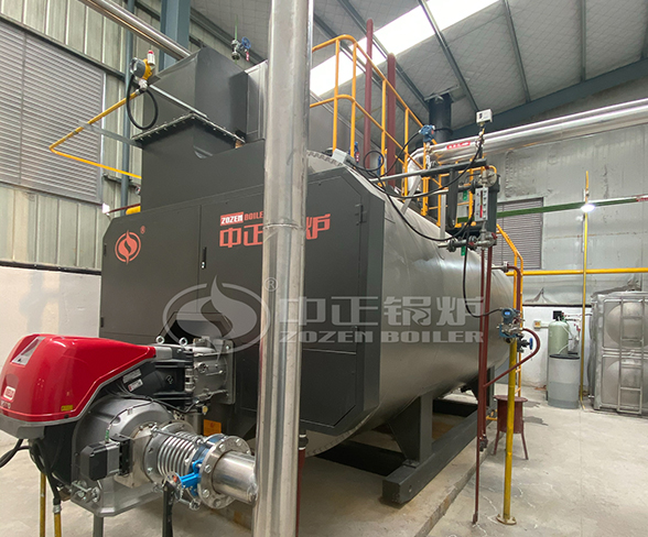 wns gas steam boiler