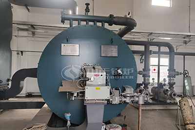 2 million kcal gas firing thermal oil boiler