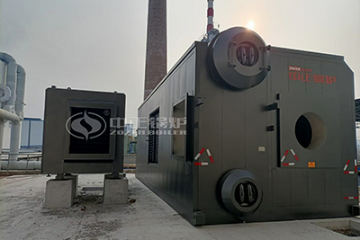 Biogas Natural Gas Co-firing Steam Boiler for Protein Powder Production