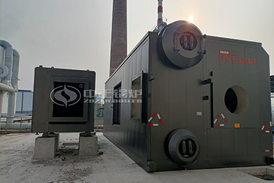 25 ton gas boiler