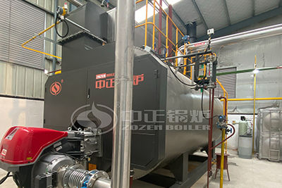 6 Ton Gas Steam Boiler Applied in Organic Bentonite Production
