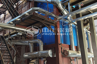 CFB Type Steam Boiler Used in Peptide Production Project