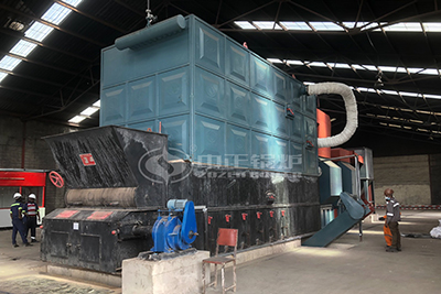 Tanzania coal fired thermal oil heater