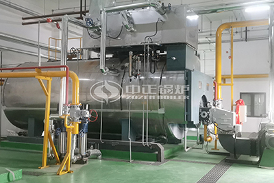 gas fired steam boiler