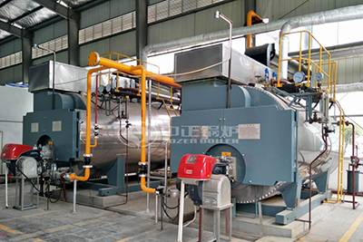 wns package steam boiler