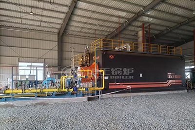 20 ton oil gas fired boiler